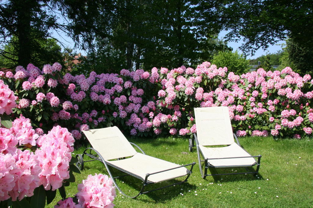 Pension Villa Edelweiss Sellin  Екстериор снимка